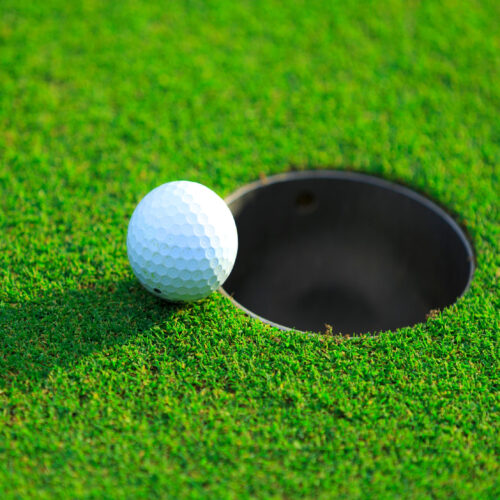Golf-scaled-aspect-ratio-500-500